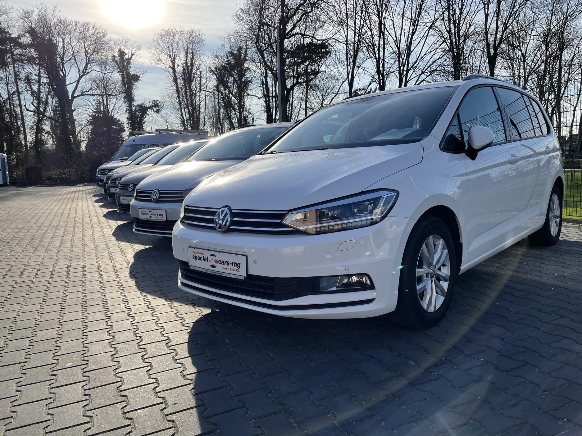 Eine Reihe von Volkswagen parkt auf einem sonnenbeschienenen, gepflasterten Parkplatz. Im Vordergrund steht ein weißes Modell. Im Hintergrund blattlose Bäume unter einem hellen Himmel.